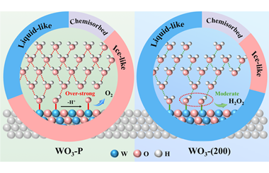 Crystal orientation dependent charge transfer dynamics and interfacial water configuration boosting photoelectrocatalytic water oxidation to H2O2  2025.100619